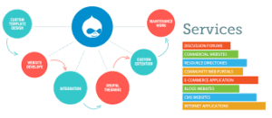 Web Design Services